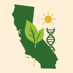 Naturopathic Medicine